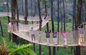 Pesona Tersembunyi Nusantara: Menjelajahi Keindahan "Taman Langit Pangalengan" yang Sedang Viral