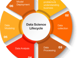 Data Science: Evolusi, Transformasi, dan Masa Depan di Era Digital
